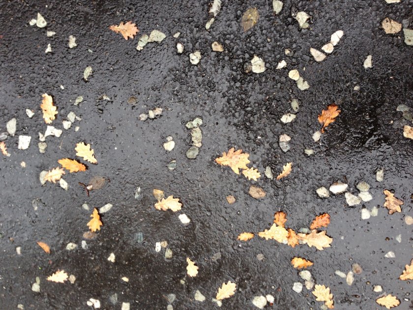 Eingewalzter Splitt im Asphalt