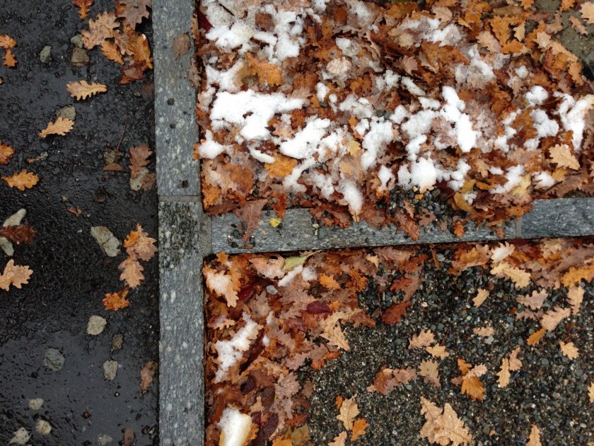 Einfache Materialisierung - Pflanzbeete - Splitt - Asphalt